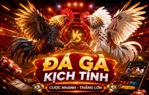 Giao diện Đá Gà pocketprojectr